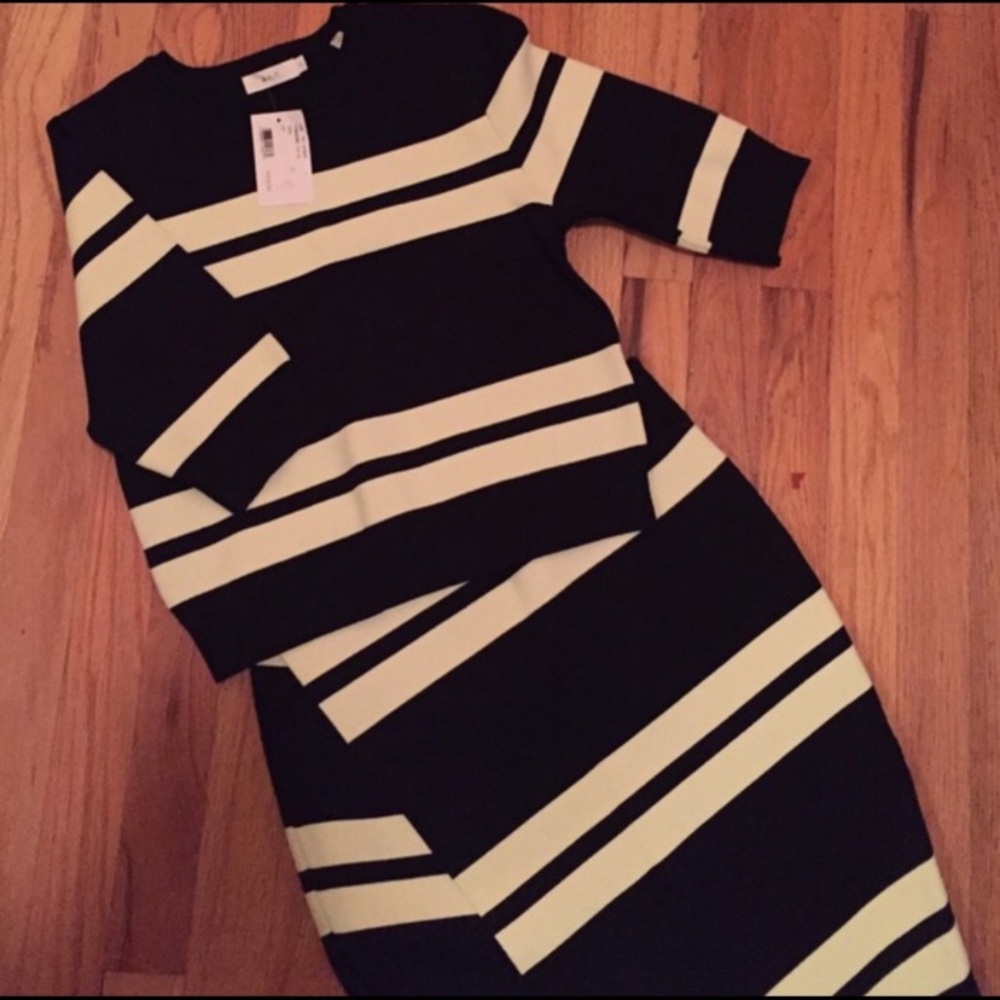 A.L.C. Crop top and skirt set